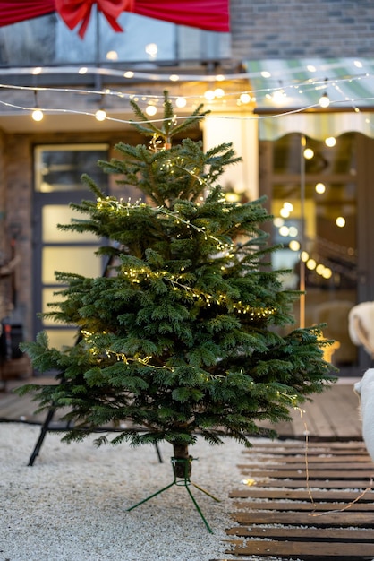 Árbol de navidad, en, patio trasero