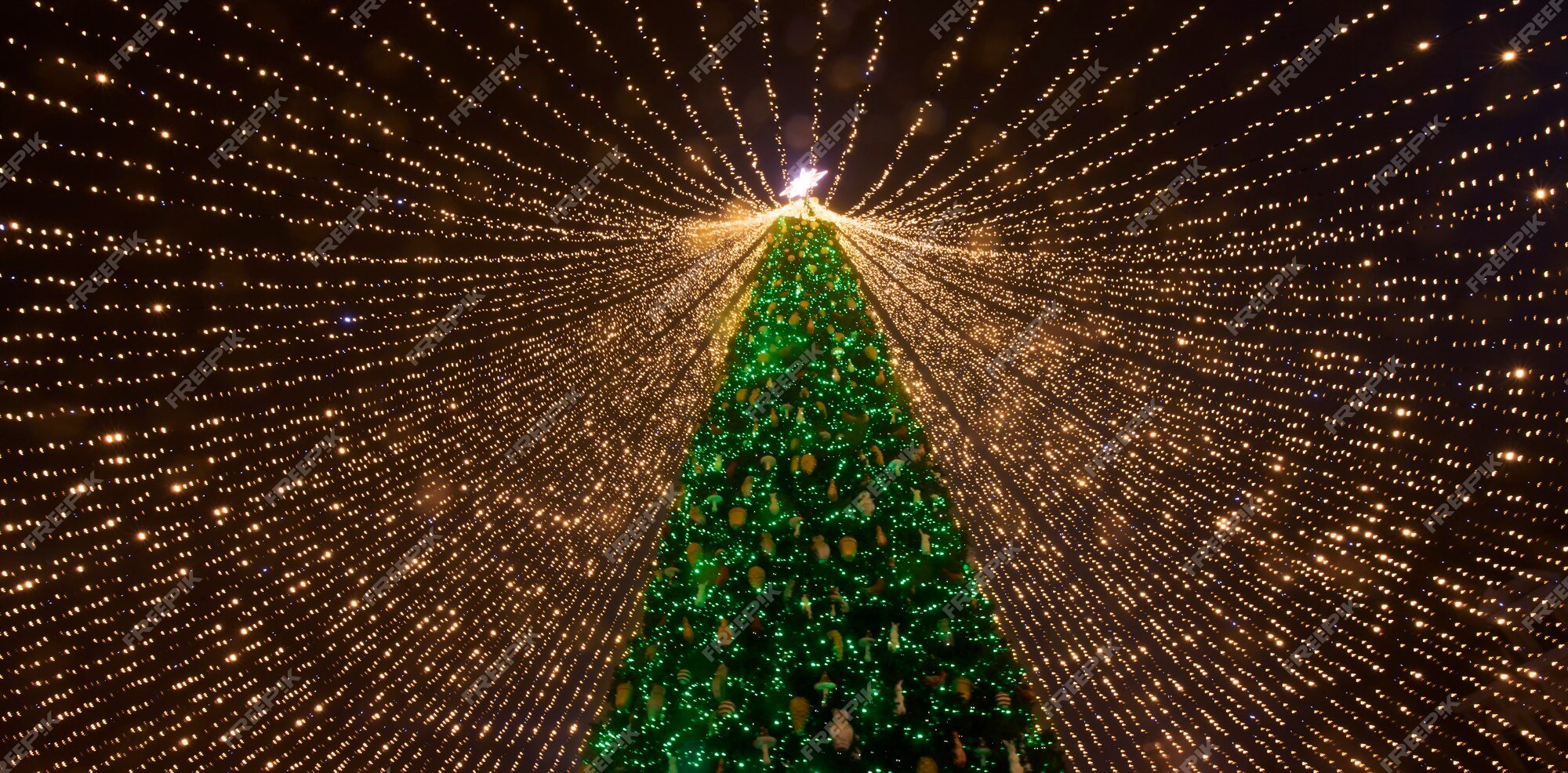 Árbol de navidad. el principal árbol de navidad de ucrania en la plaza  sofía. vista desde abajo. | Foto Premium