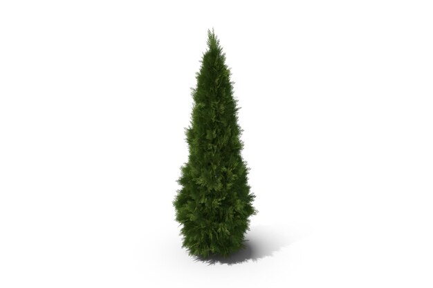 Árbol de Navidad