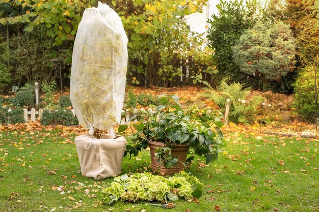 Foto Árbol en olla envuelto en lana para el invierno en un parque