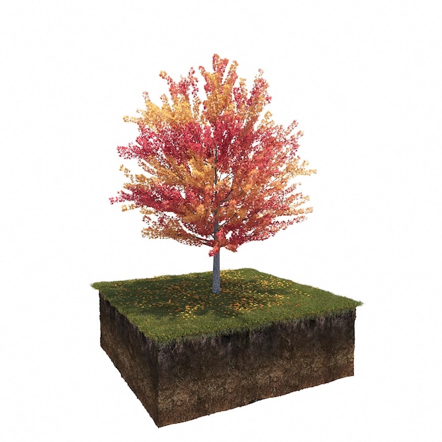 árbol de otoño aislado sobre fondo blanco, ilustración 3D, cg render