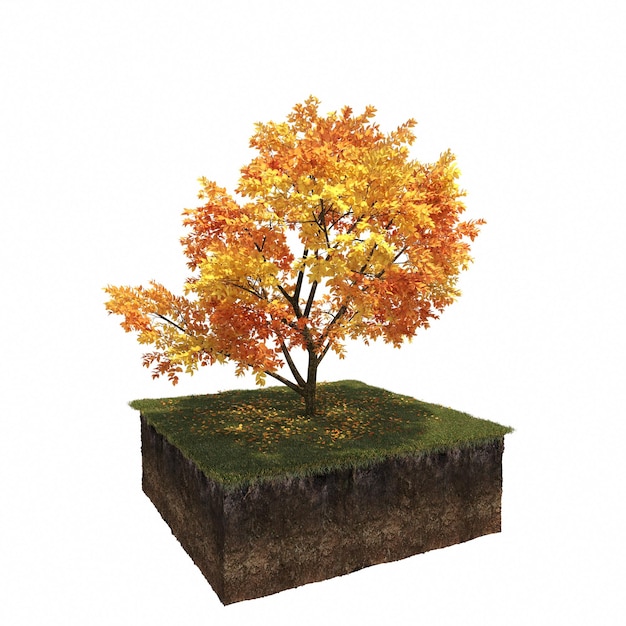 árbol de otoño aislado sobre fondo blanco, ilustración 3D, cg render