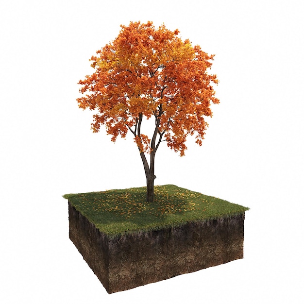 árbol de otoño aislado sobre fondo blanco, ilustración 3D, cg render