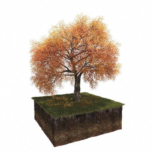 árbol de otoño aislado sobre fondo blanco, ilustración 3D, cg render