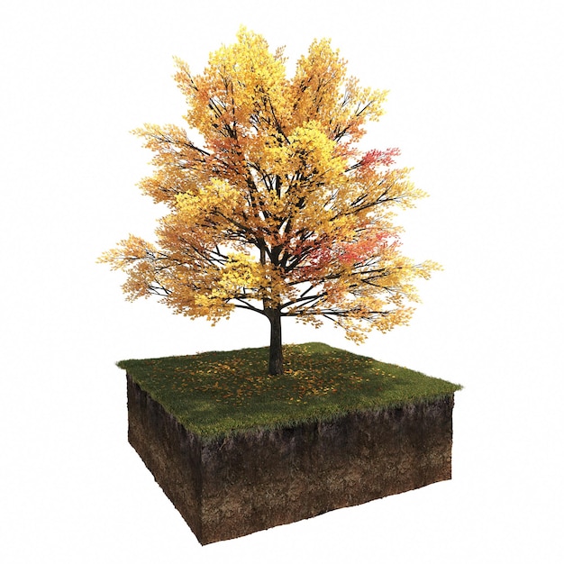 árbol de otoño aislado sobre fondo blanco, ilustración 3D, cg render