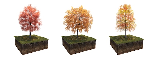 árbol de otoño aislado sobre fondo blanco, ilustración 3D, cg render