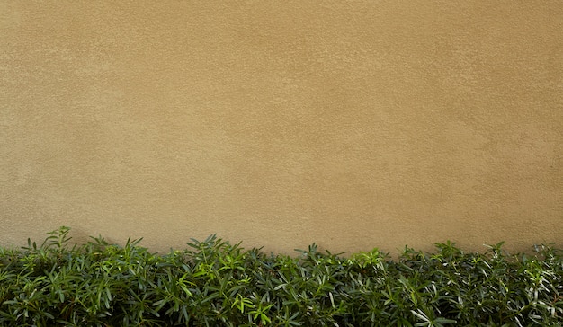 Foto Árbol de pared y fondo de hoja verde