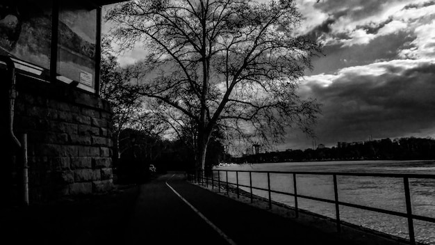 Foto Árbol en el paseo marítimo por el río contra el cielo