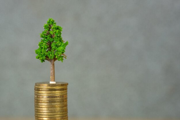 Árbol que crece en una pila de monedas de oro concepto de negocio de crecimiento