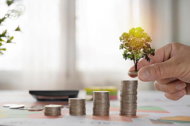 Un árbol que crece sobre un montón de dinero y las manos de los inversores.