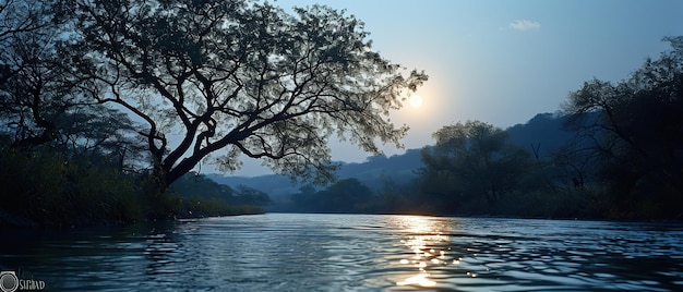 un árbol que está de pie en el agua