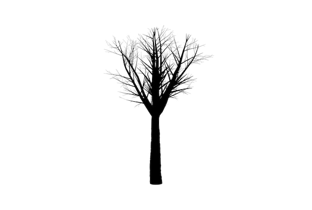 Árbol silueta botánica arte estacional madera forma arte
