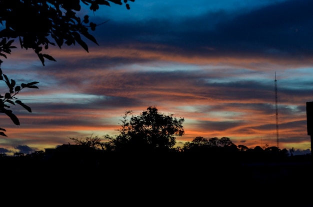 Foto un árbol se silueta contra un cielo de puesta de sol con una puesta de sol en el fondo