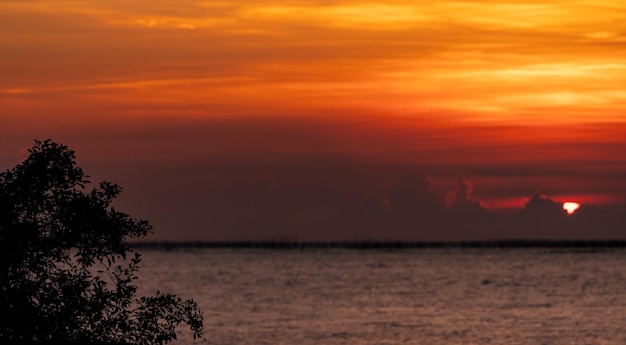 Árbol de silueta sobre fondo borroso de cielo rojo y naranja al atardecer sobre el mar tropical