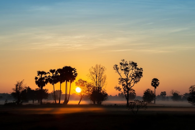 Árbol de silueta en Tailandia con Sunrise.Tree silueteado contra un sol poniente.Árbol oscuro en campo abierto espectacular amanecer.Típica puesta de sol de Tailandia con árboles en el Parque Nacional Khao Yai, Tailandia