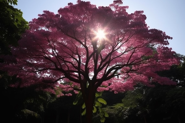 Un árbol con el sol brillando a través de las hojas.