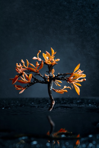 Árbol solitario con hojas doradas en agua