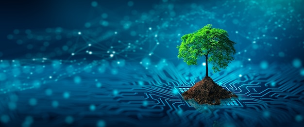 Árbol con suelo que crece en el punto de convergencia de la placa de circuito de computadora