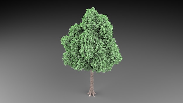 árbol verde, 3d, render