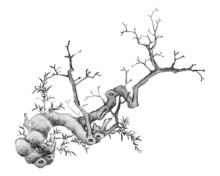Foto árbol vintage png en fondo transparente remasterizado por rawpixel