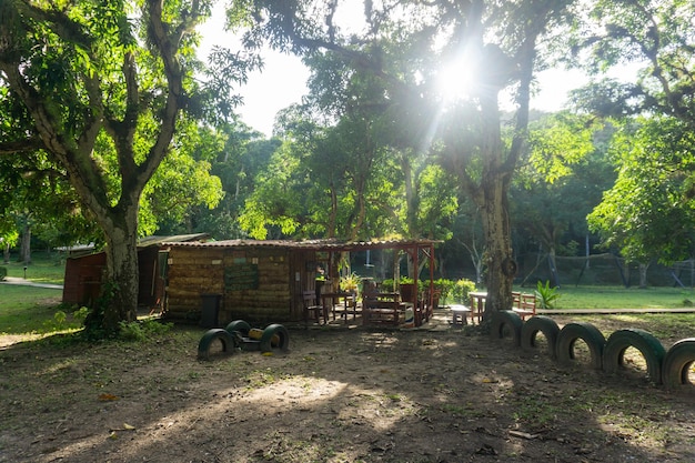 Arboleda Matanzas, paseo en bote por el río yumuri, imágenes de todo el lugar