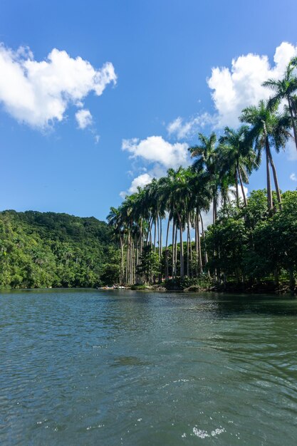 Arboleda Matanzas, passeio de barco pelo rio yumuri, imagens de todos os lugares