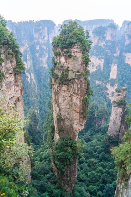 Foto Árboles en el acantilado contra el cielo