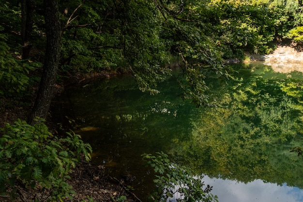 Foto Árboles en blue lake en baia sprie en rumania.