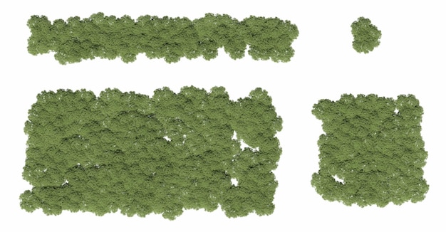 árboles en el bosque vista superior área vista aislada sobre fondo blanco 3D ilustración cg render