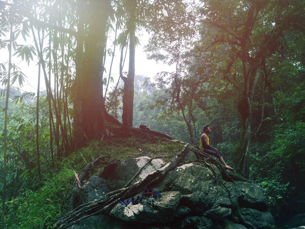 Foto Árboles en el bosque