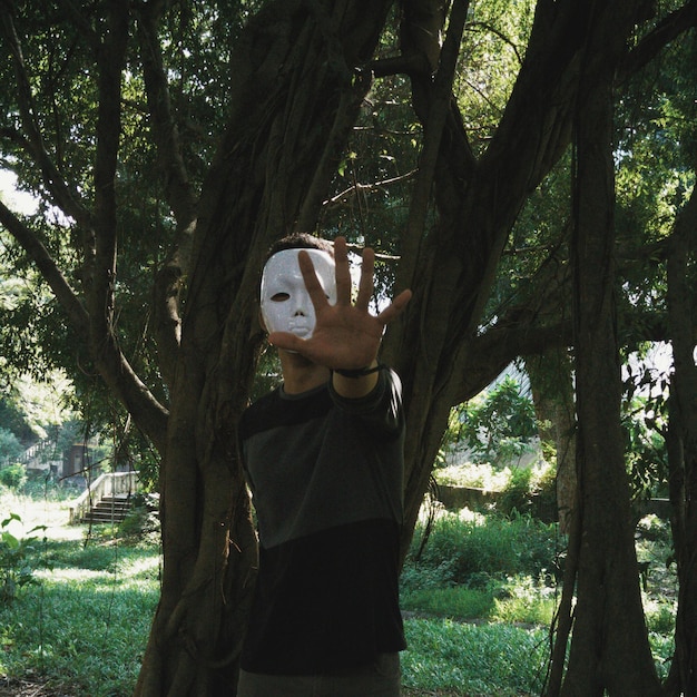 Foto Árboles en el bosque