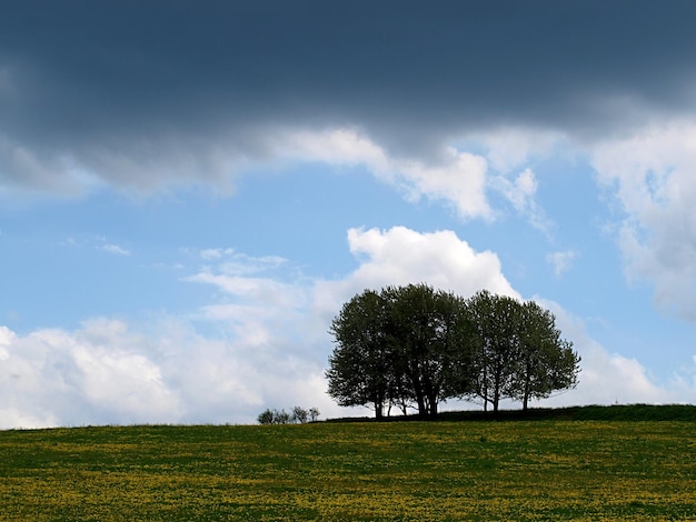 Foto Árboles en el campo contra el cielo con una nube dramática