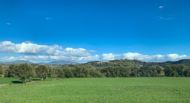 Foto Árboles en el campo contra el cielo