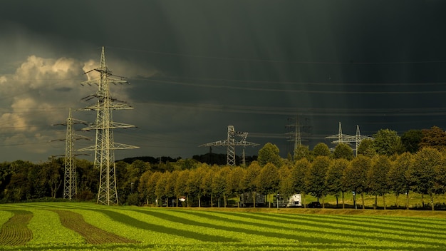 Foto Árboles en el campo contra el cielo