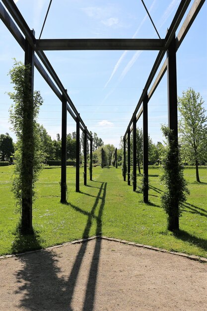 Foto Árboles en el campo contra el cielo