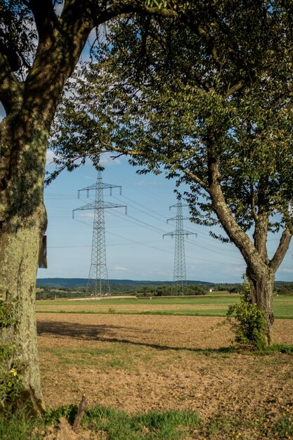 Foto Árboles en el campo contra el cielo