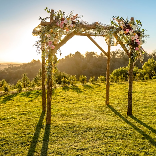 Foto Árboles en el campo contra el cielo