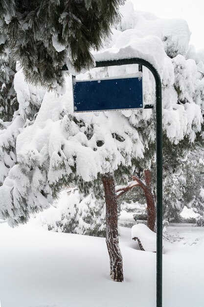 Foto Árboles en un campo cubierto de nieve