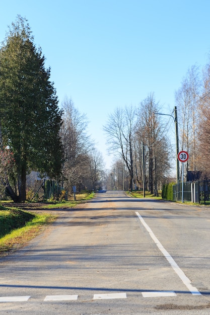 árboles de carretera rural cubiertos de asfalto alrededor