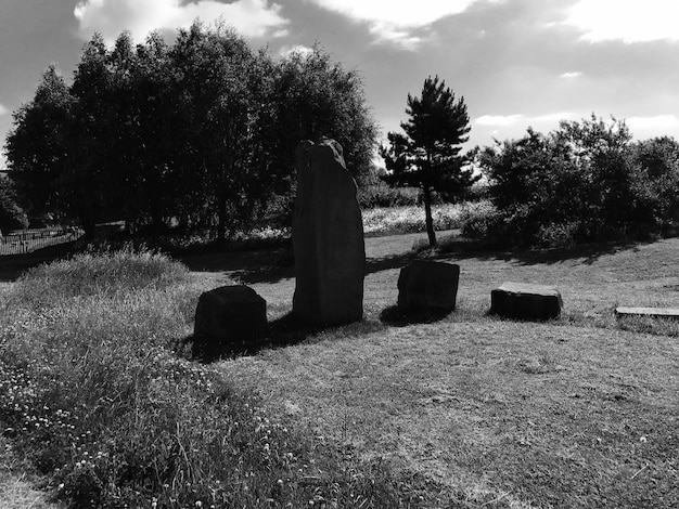 Foto Árboles en el cementerio contra el cielo