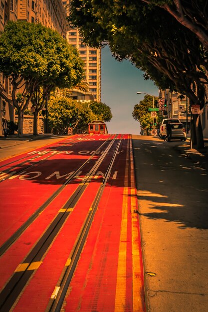 Foto Árboles en la ciudad contra el cielo