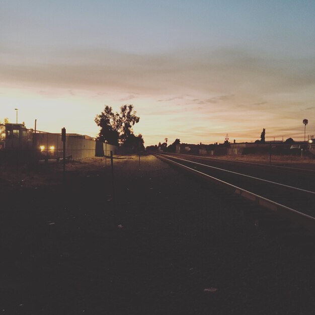 Foto Árboles contra el cielo durante la puesta de sol