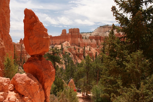 Árboles contra formaciones rocosas en el parque nacional del cañón de Bryce