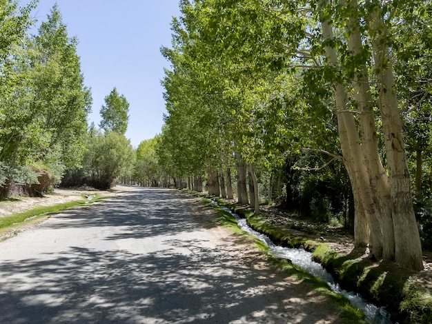 Los árboles crecen a lo largo de las carreteras en Tayikistán y fluyen pequeños arroyos