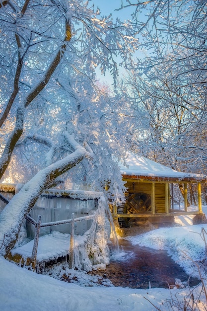 Árboles cubiertos de glaseado cerca del viejo molino Invierno helado