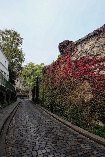 Los árboles dentro del parque en París, Francia, septiembre de 2017