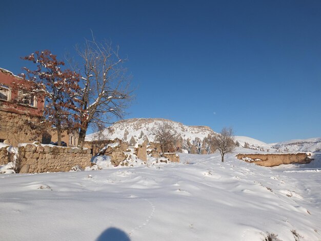 Árboles desnudos en un paisaje cubierto de nieve contra un cielo azul claro
