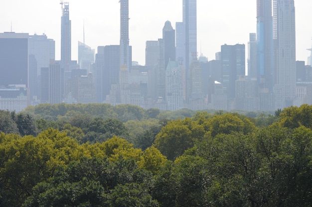 Foto Árboles y edificios en la ciudad contra el cielo