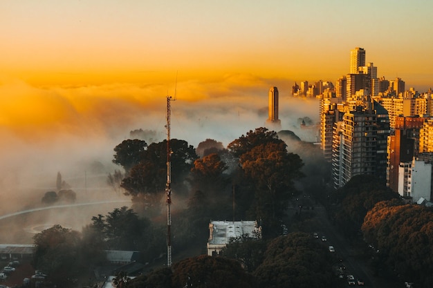 Foto Árboles y edificios contra el cielo durante la puesta de sol