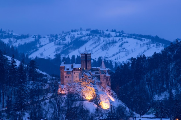Árboles y edificios cubiertos de nieve contra el cielo